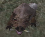 Way in Oblivion - Morrowind - ������ - Bloodmoon - ����� � �����