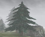 Way in Oblivion - Morrowind - ������ - Bloodmoon - ����� � �����