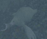 Way in Oblivion - Morrowind - ������ - Bloodmoon - ����� � �����