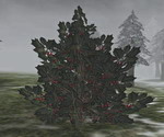 Way in Oblivion - Morrowind - Статьи - Bloodmoon - Флора и Фауна