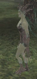 Way in Oblivion - Morrowind - ������ - Bloodmoon - ����� � �����